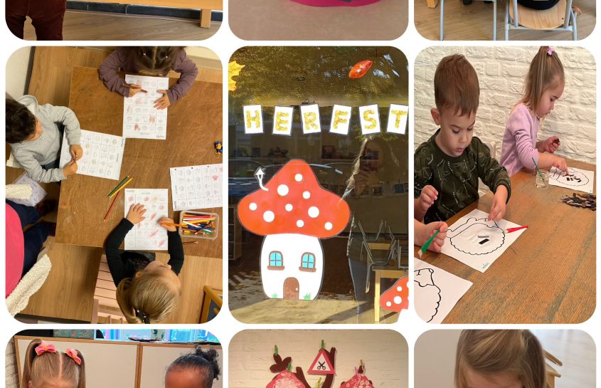 Thema Herfst